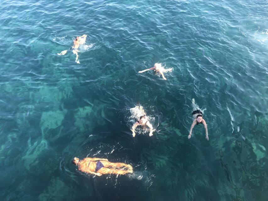 dolphin boat trip in side manavgat
