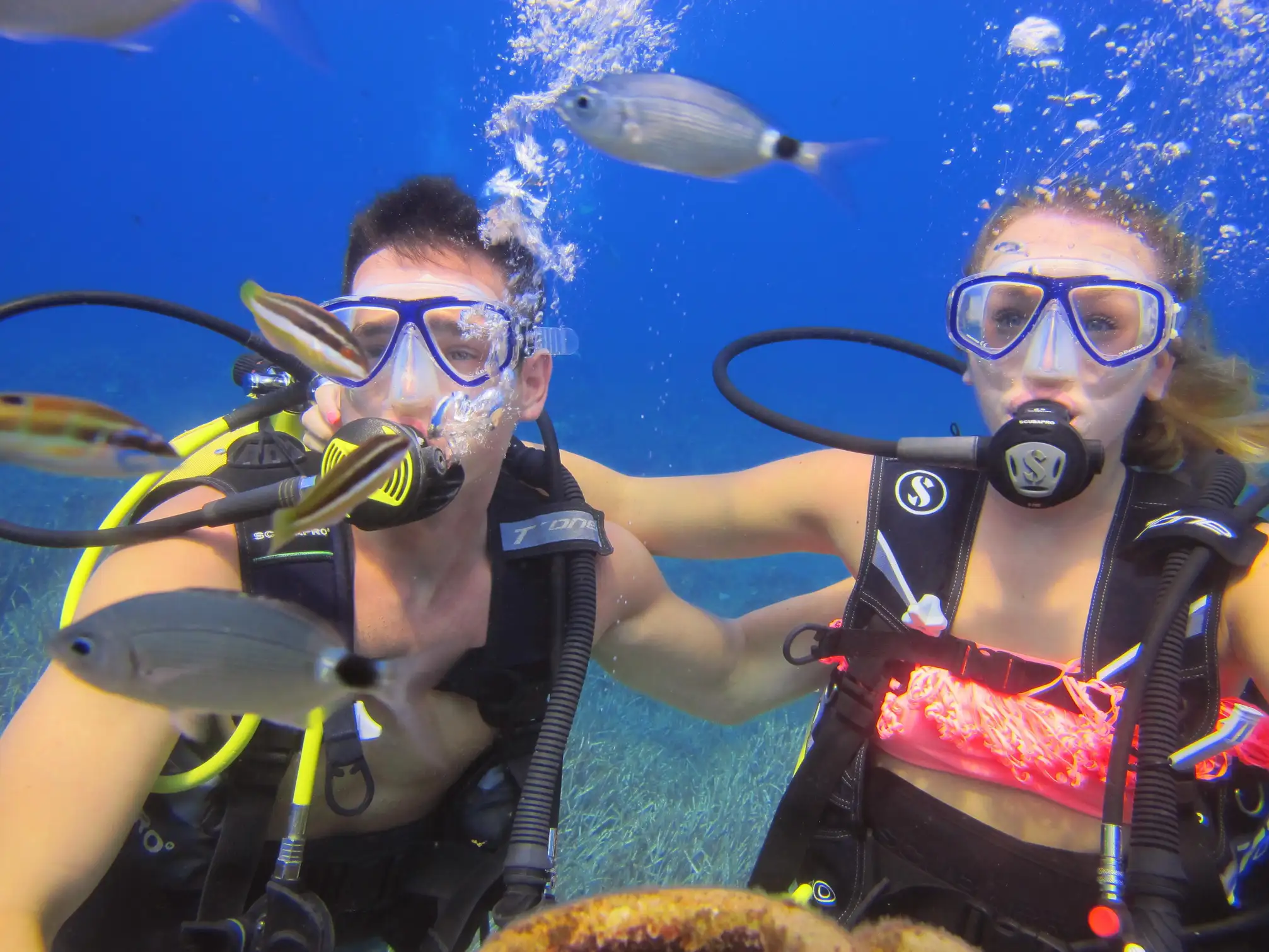 side under water muesum scuba diving